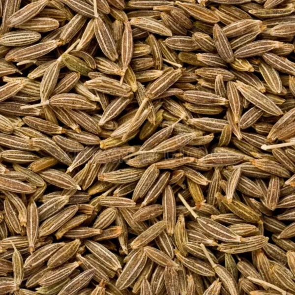 Cumin Seeds (Jeera) – Pure & Flavorful for Culinary & Export - Image 2