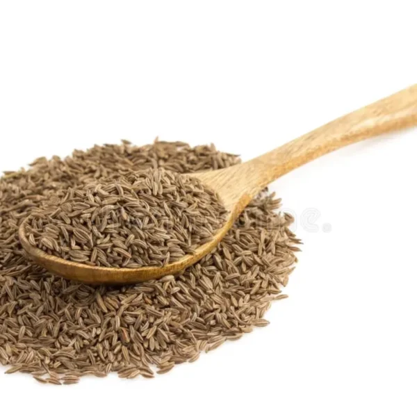 Cumin Seeds (Jeera) – Pure & Flavorful for Culinary & Export