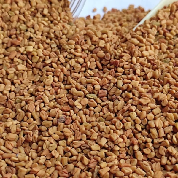 Fenugreek Seeds – Premium Natural & Nutrient-Rich - Image 3