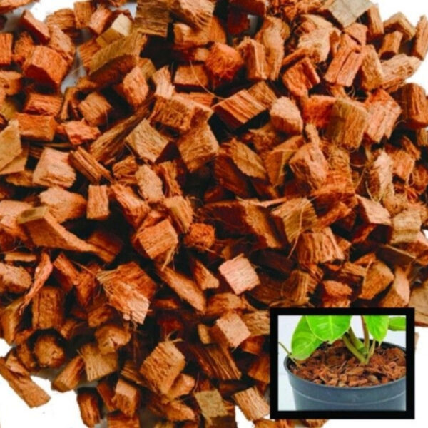 Cocopeat Husk: Eco-Friendly Soil Booster for Healthy Plants - Image 2