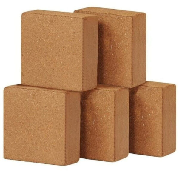 Organic Cocopeat Blocks – Eco-Friendly Soil for Gardening