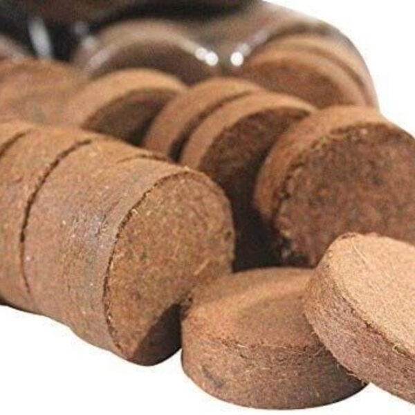 Premium Cocopeat Discs – Organic & Compressed for Gardening - Image 3