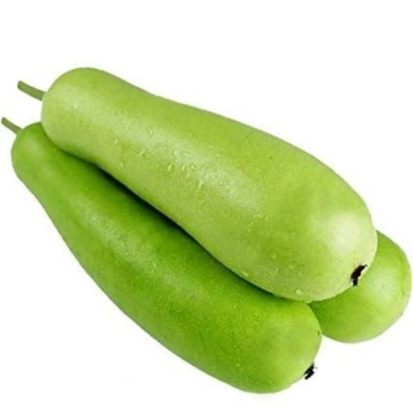 Bottle Gourd - Fresh and Nutritous | Chemical Free