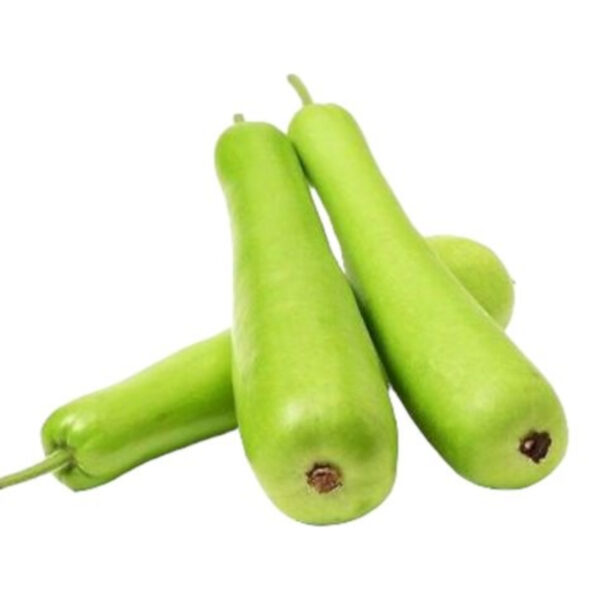 Bottle Gourd - Fresh and Nutritous | Chemical Free - Image 3