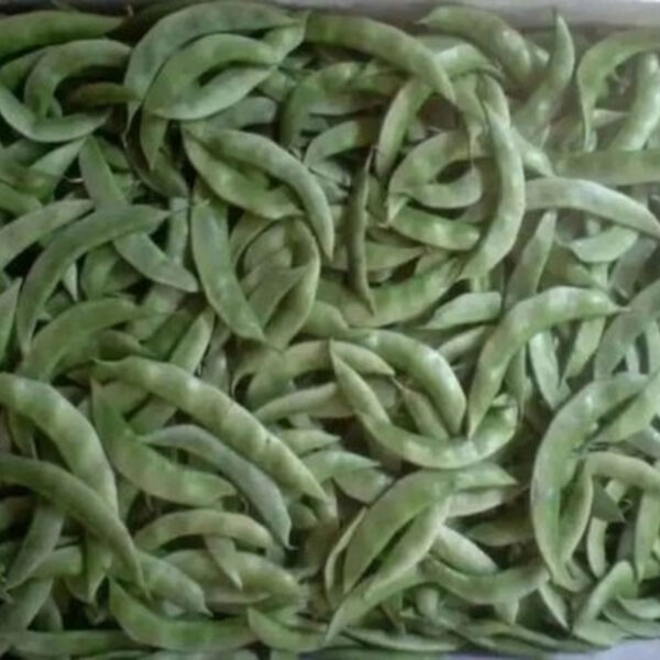Hyacinth Beans (Lablab Beans) - High Quality for Export - Image 3