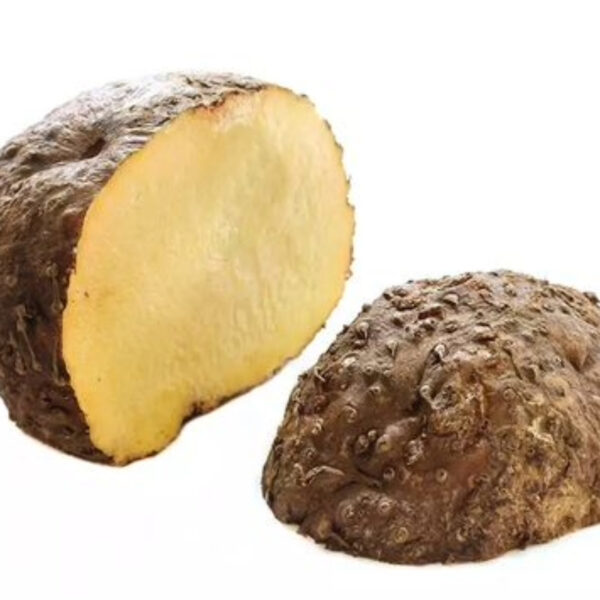 Suran (Elephant Foot Yam) – Export-Grade Quality