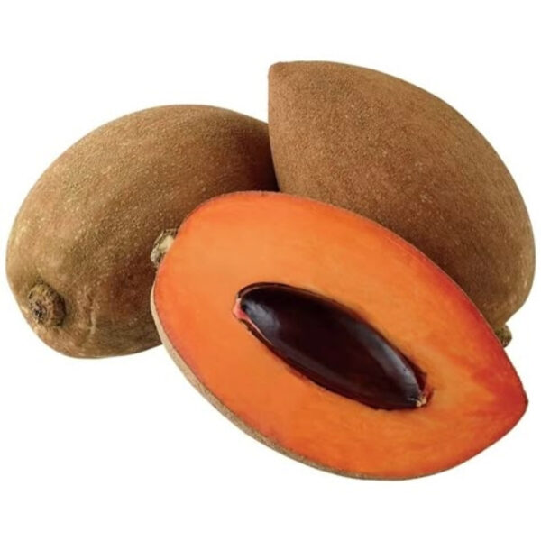 Chikoo (Sapota) Exporter from India | Quality & Bulk Supply