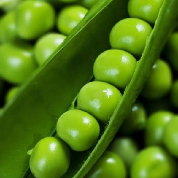 Green Peas – Premium Quality, Fresh & Nutrient-Rich - Image 2