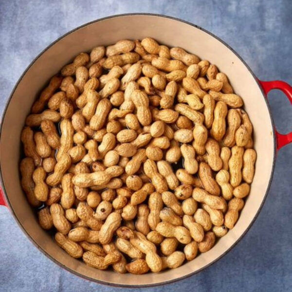Groundnuts (Peanuts) – High Nutrition & Global Export - Image 2