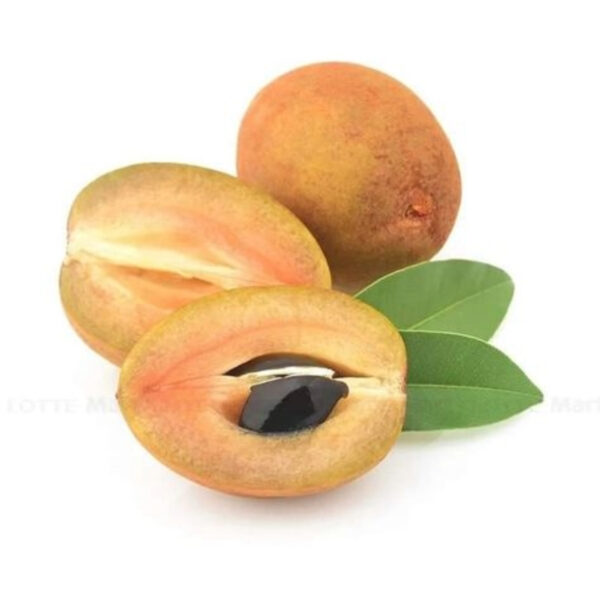 Chikoo (Sapota) Exporter from India | Quality & Bulk Supply - Image 2
