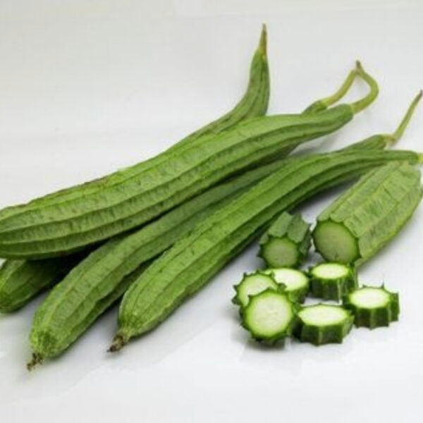Fresh Ridge Gourd Export – Premium Quality & Nutrient-Rich