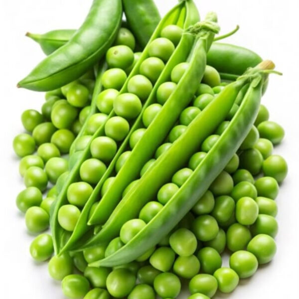 Green Peas – Premium Quality, Fresh & Nutrient-Rich