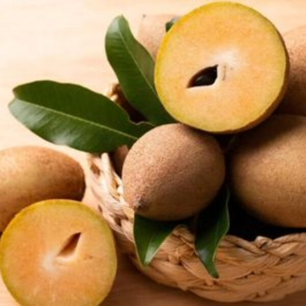 Chikoo (Sapota) Exporter from India | Quality & Bulk Supply - Image 3