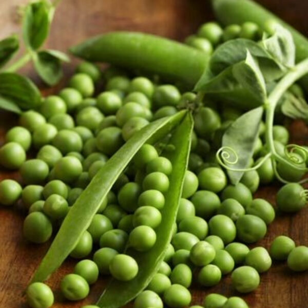 Green Peas – Premium Quality, Fresh & Nutrient-Rich - Image 4