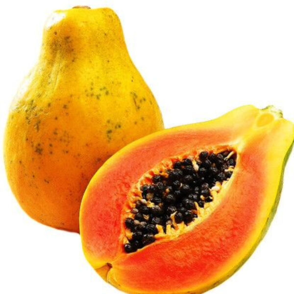 Papaya Export | Premium Quality Papaya for Global Markets - Image 3