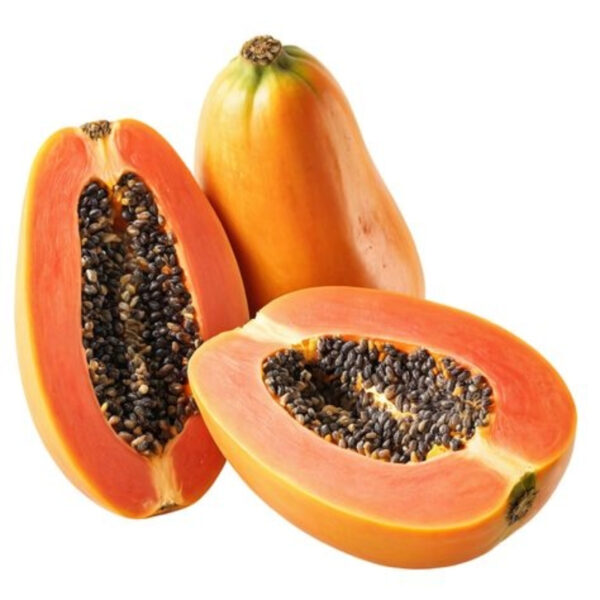 Papaya Export | Premium Quality Papaya for Global Markets