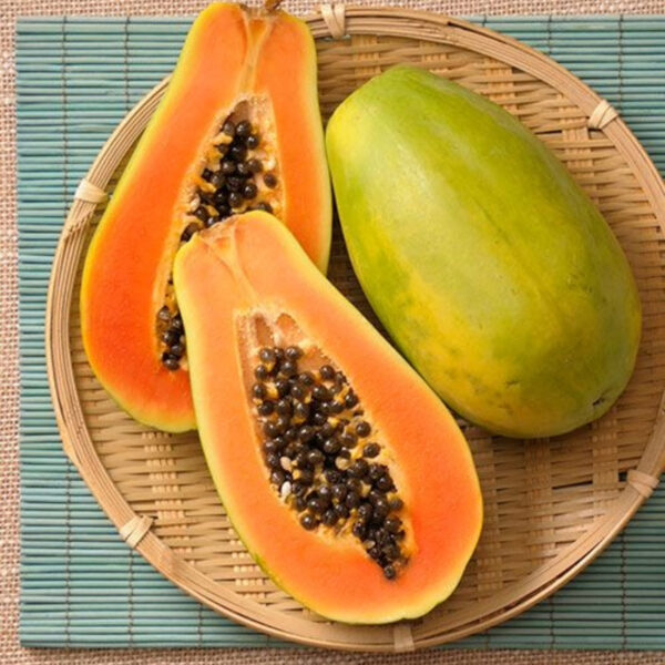 Papaya Export | Premium Quality Papaya for Global Markets - Image 4