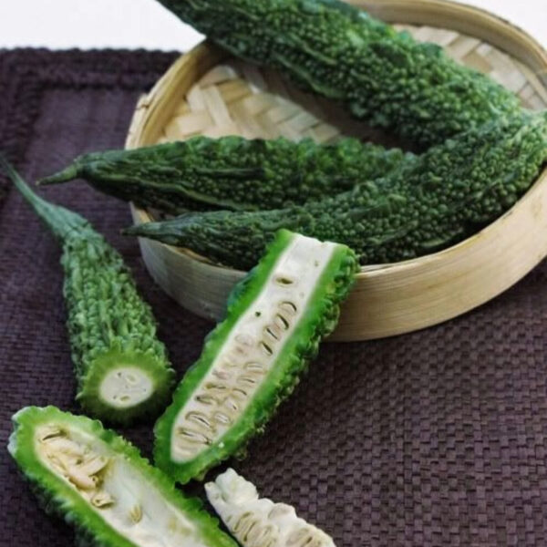 Bitter Gourd (Karela) – Premium Export Quality - Image 4