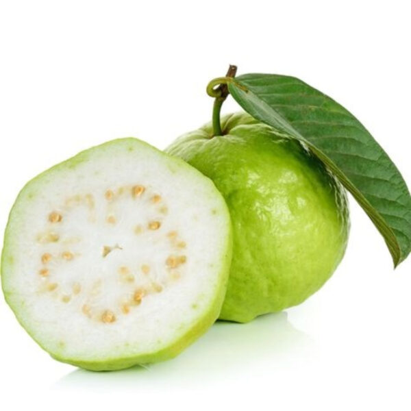 Guava – Export Quality, Juicy & Nutrient-Rich