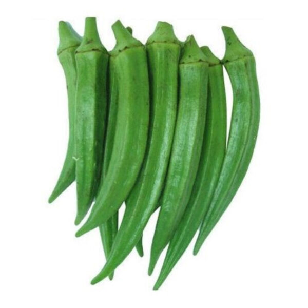 Okra (Lady Finger)-Global Supplier & Bulk Exporter