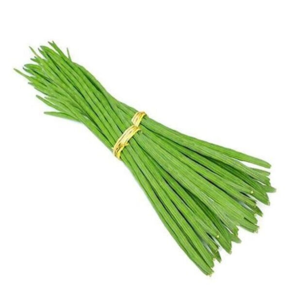 Drumsticks | Organic Moringa Sticks Export-Quality