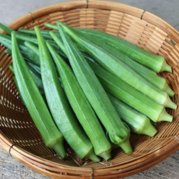 Okra (Lady Finger)-Global Supplier & Bulk Exporter - Image 2