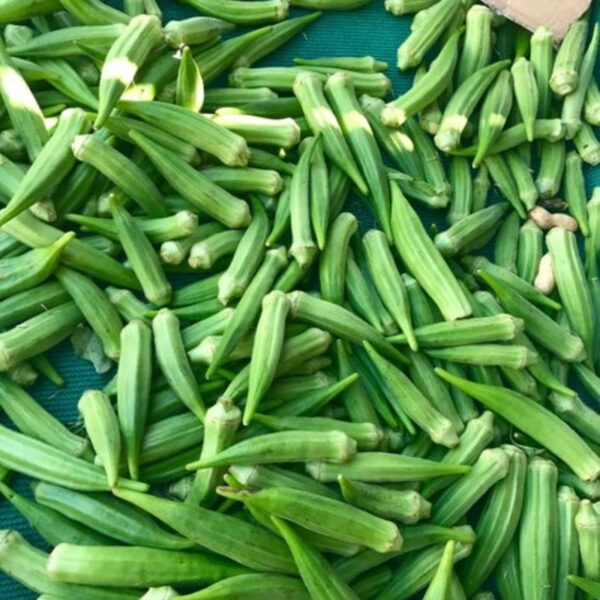 Okra (Lady Finger)-Global Supplier & Bulk Exporter - Image 3