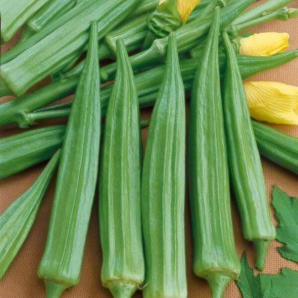 Okra (Lady Finger)-Global Supplier & Bulk Exporter - Image 4