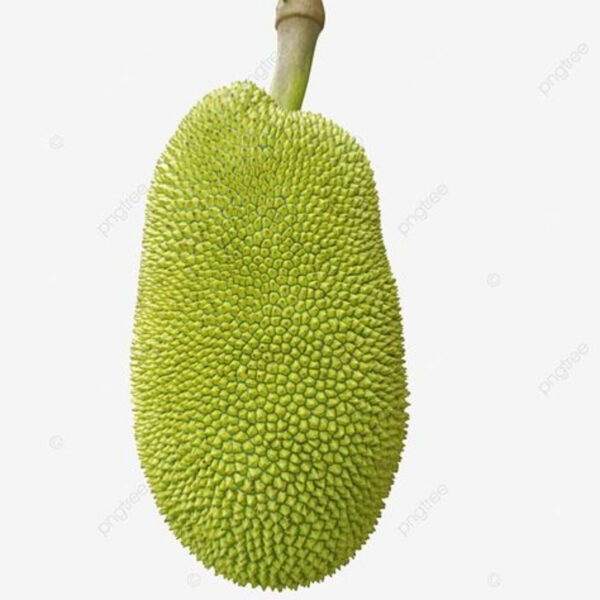 Jackfruit Export – Fresh, Nutritious & Naturally Sweet